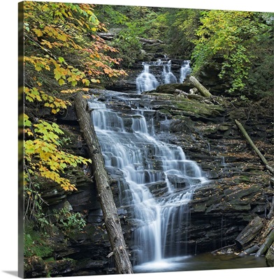 Delaware Falls, Ricketts Glen State Park, Pennsylvania