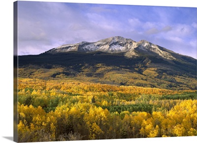 East Beckwith Mountain and trees in fall color Gunnison National Forest Colorado