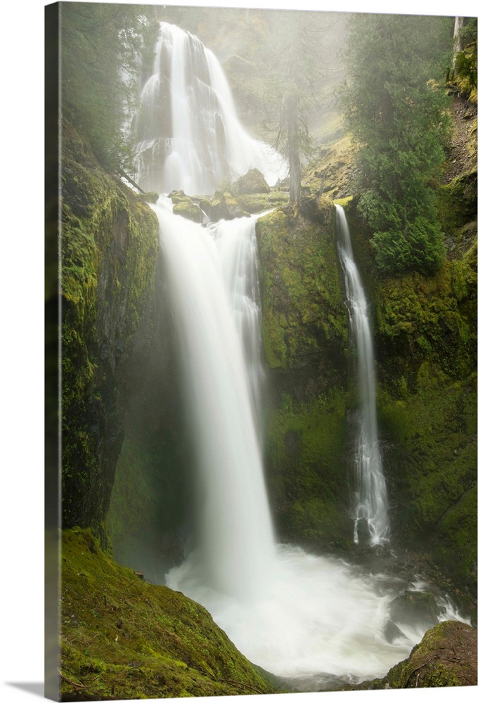 Falls Creek Falls, Gifford Pinchot National Forest, Washington APRIL
