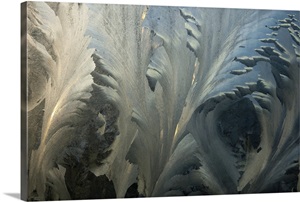 Frost crystal patterns on glass, Ross Sea, Antarctica image thumbnail