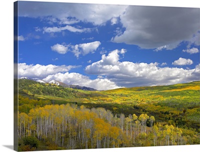Gunnison National Forest in fall Colorado