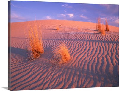Gypsum dunes, Guadalupe Mountains National Park, Texas