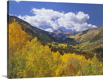 Haystack Mountain with aspen forest, Maroon Bells-Snowmass Wilderness, Colorado