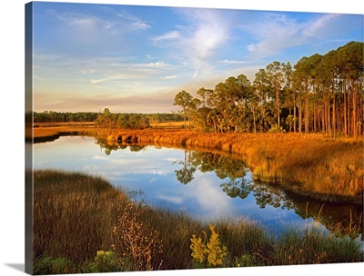 Lake near Apalachicola, Florida