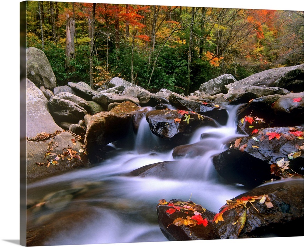 Little Pigeon River Great Smoky Mountains National Park Tennessee