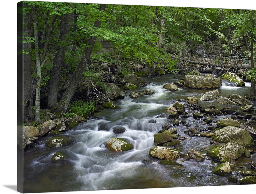 Little Stony Creek flowing through Jefferson National Forest, Virginia