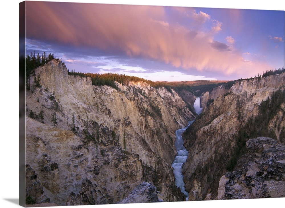 Lower Yellowstone Falls Yellowstone National Park Wyoming Wall Art