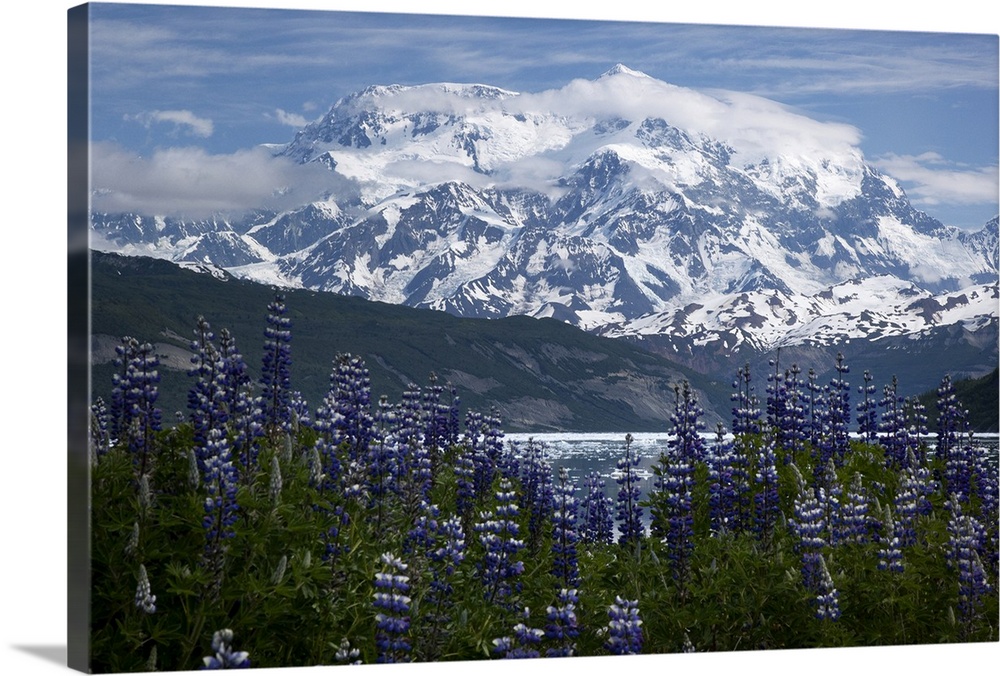 MT. St. Elias (18,008 ft (5,489 m)), the third highest peak in north America on the US-Canada border, rising above Taan Fj...
