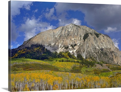 Marcellina Mountain and aspen forest in Raggeds Wilderness, Colorado