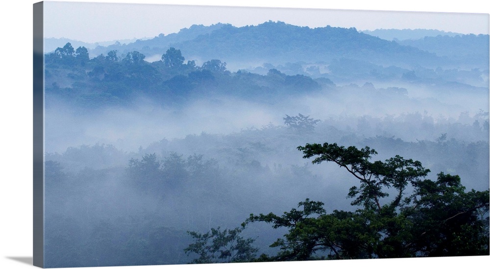 Mist over tropical rainforest, Kibale National Park, western Uganda.