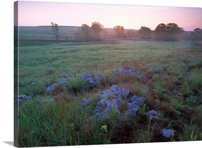 Misty morning over prairie, Tallgrass Prairie National Preserve, Kansas