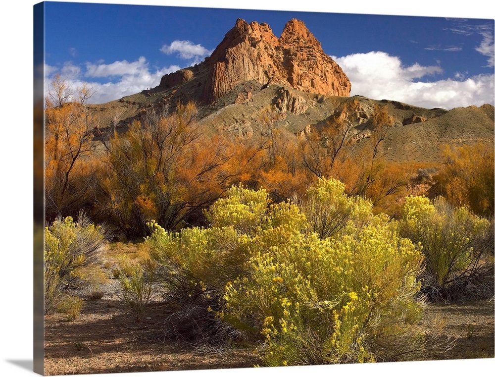 Mitten Rock, New Mexico Wall Art, Canvas Prints, Framed Prints, Wall