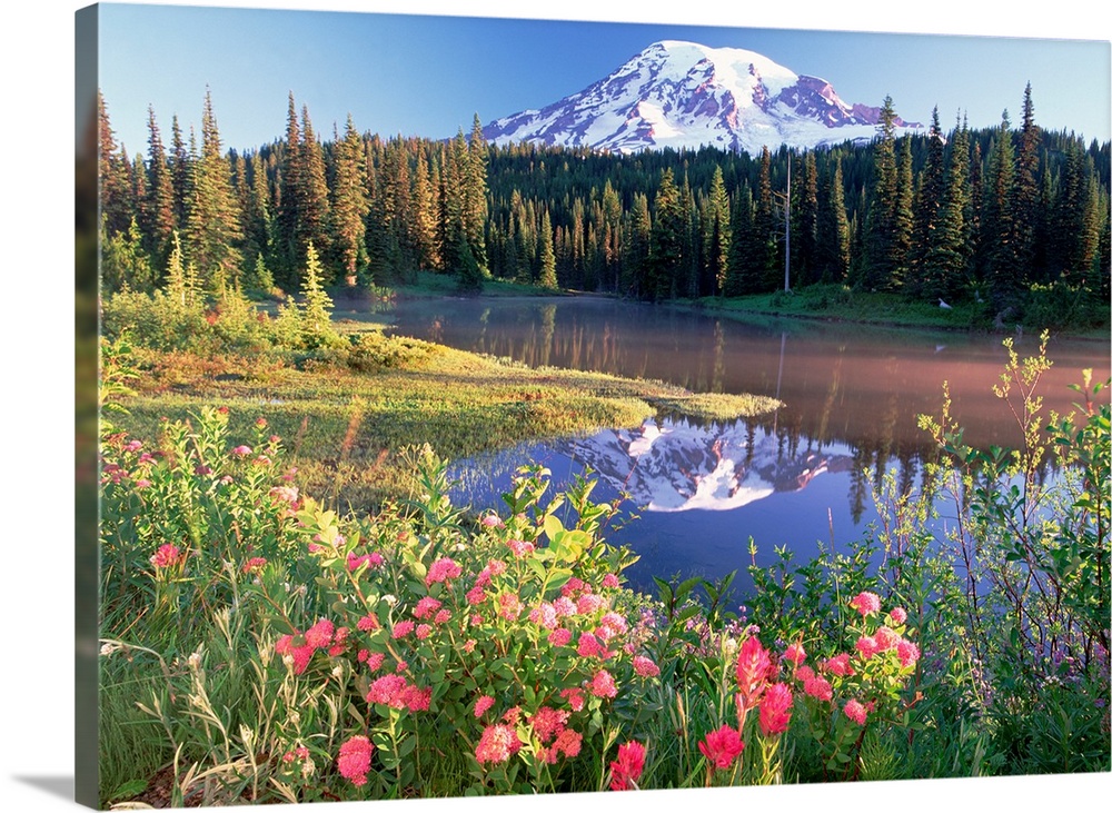 A snow covered mountain is reflected in a lake that is lined with a dense forest with spring flowers in the foreground.