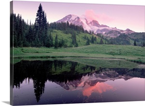 Mt Rainier reflected in lake Mt Rainier National Park Washington image thumbnail