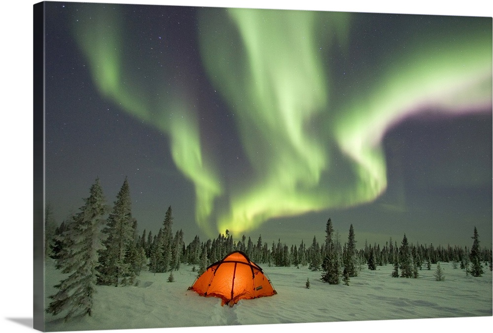This beautiful picture is taken of the northern lights over a campsite surrounded by snow covered pine trees.