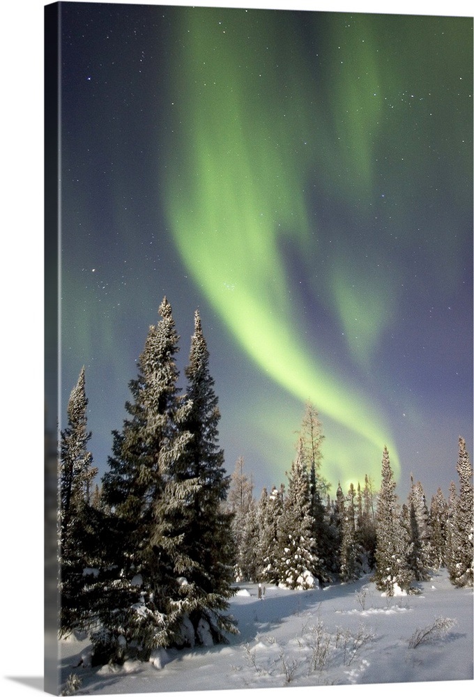 Northern Lights Over Boreal Forest North America Wall Art Canvas 