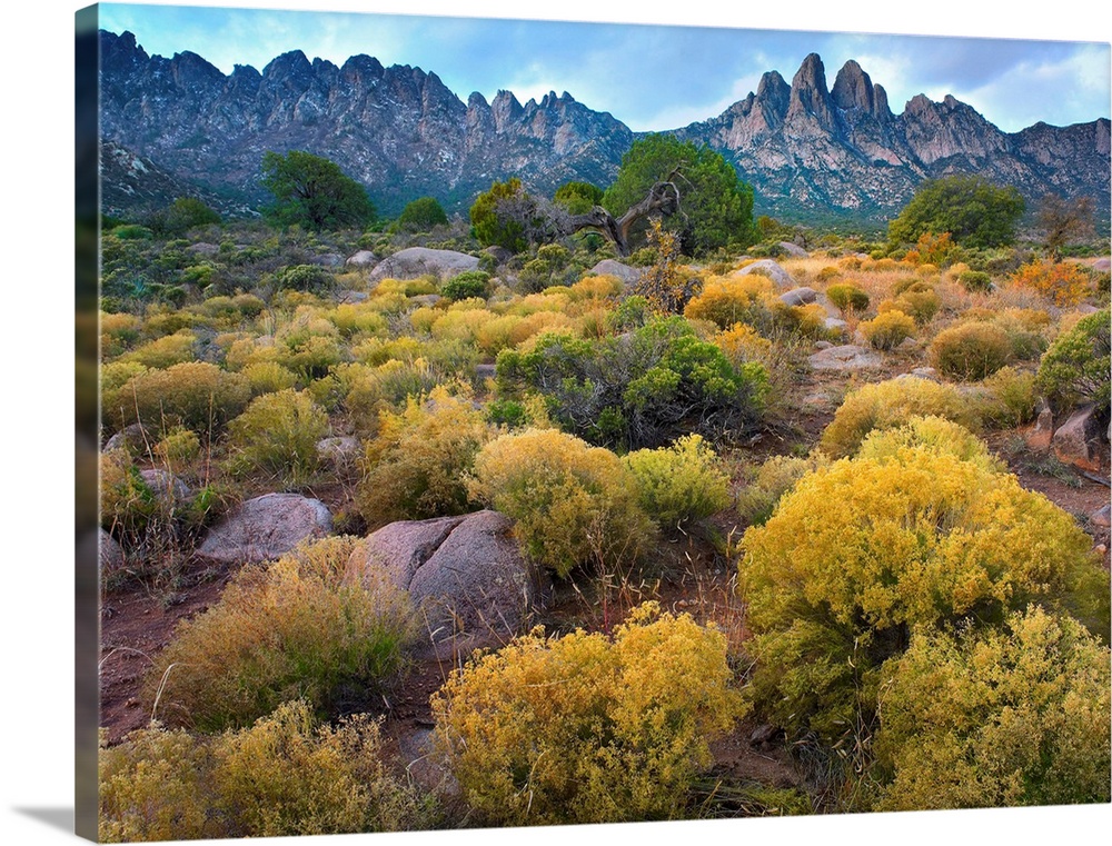 Organ Mountains, Chihuahuan Desert, New Mexico