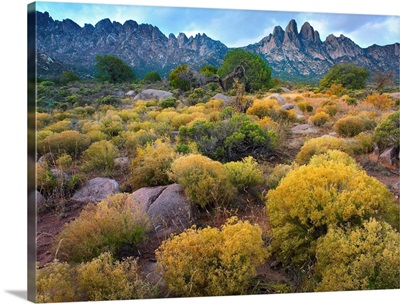 Organ Mountains, Chihuahuan Desert, New Mexico