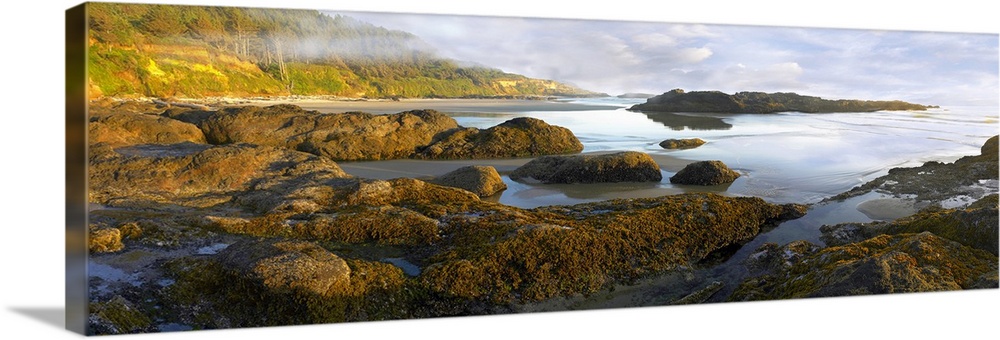 Panoramic photograph on a big wall hanging of an uneven surface along Neptune Beach at low tide, a green hillside in the b...