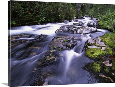 Paradise River, Mt Rainier National Park, Washington