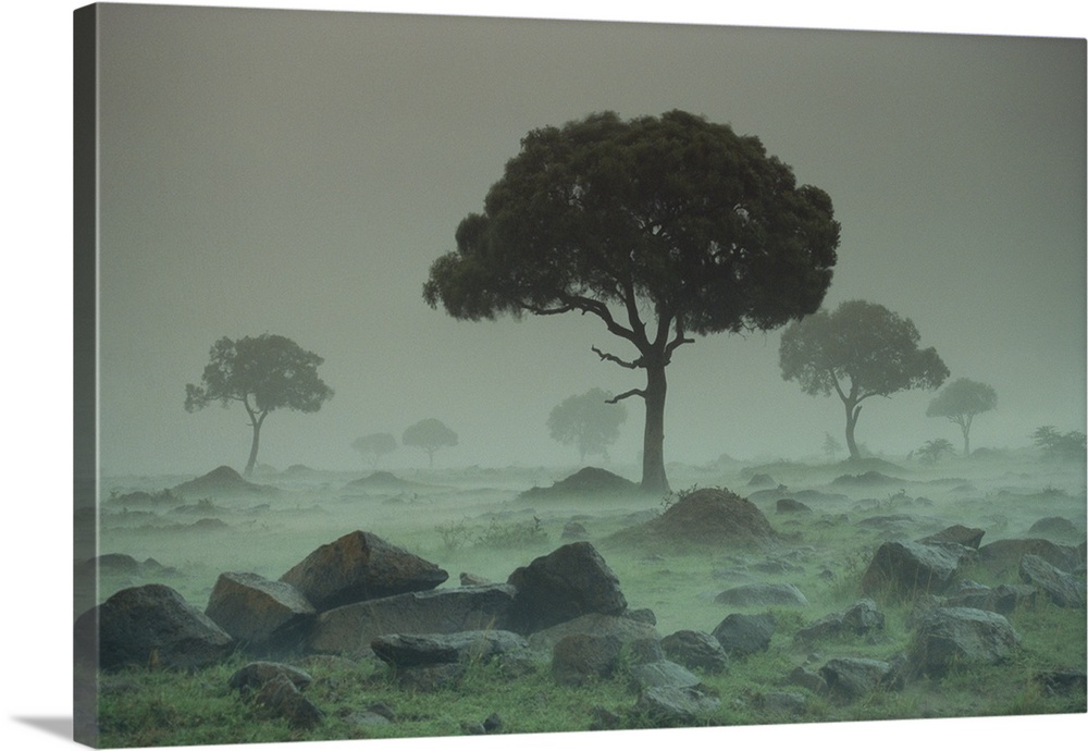 Rain storm on the Serengeti Plains, Kenya