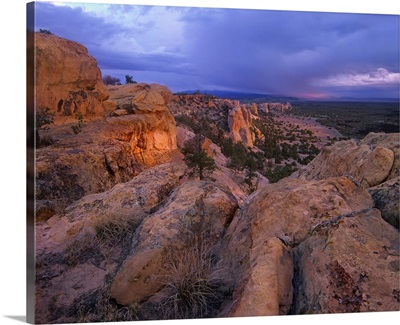 Rocky outcroppings in El Malpais National Monument, New Mexico