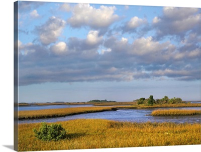 Saltwater marshes at Cedar Key, Florida