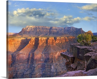 Sandstone cliffs and canyon seen from Toroweap Overlook, Grand Canyon National Park