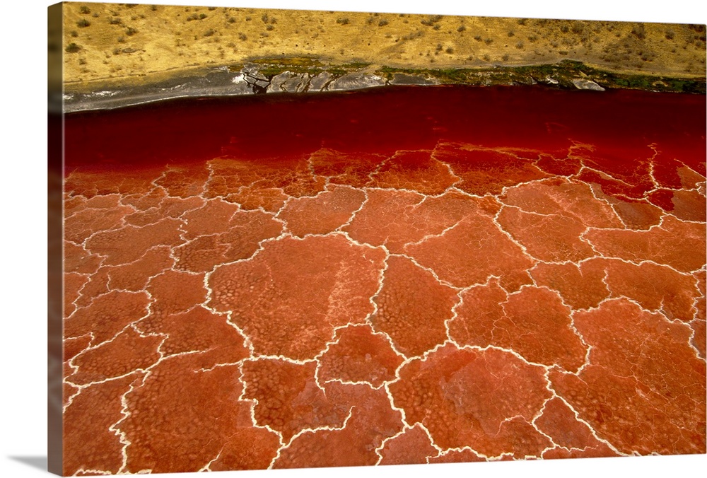 Soda formations on the surface of Lake Natron, Tanzania, east Africa