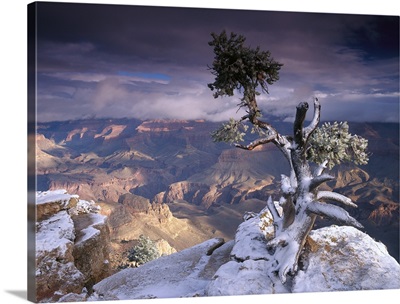 South Rim of Grand Canyon with a dusting of snow, Grand Canyon National Park, Arizona
