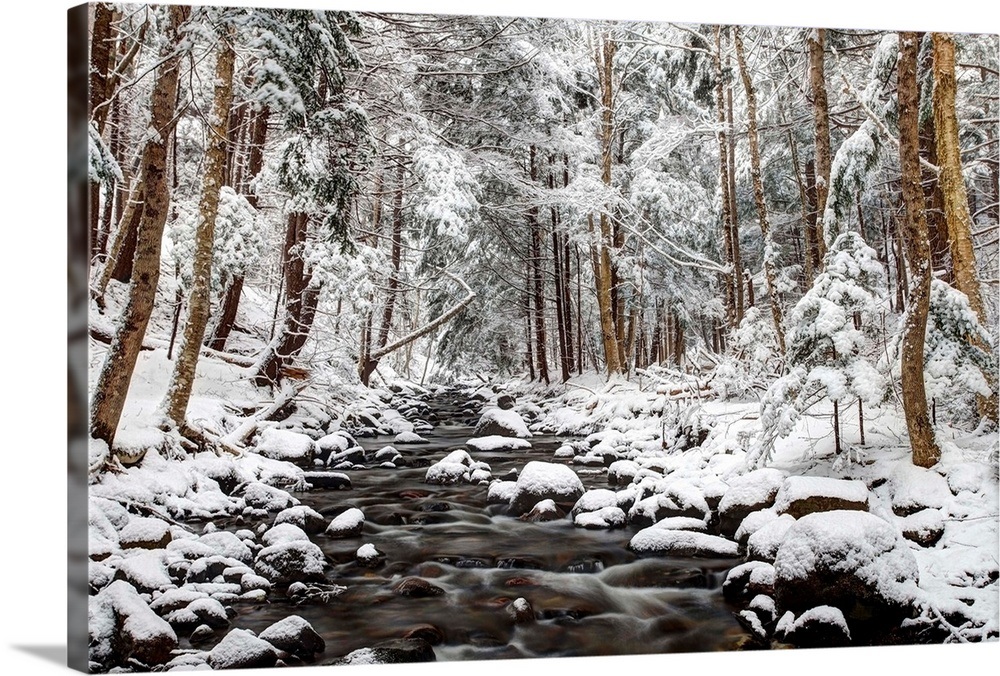 Stream in winter, Nova Scotia, Canada Wall Art, Canvas Prints, Framed