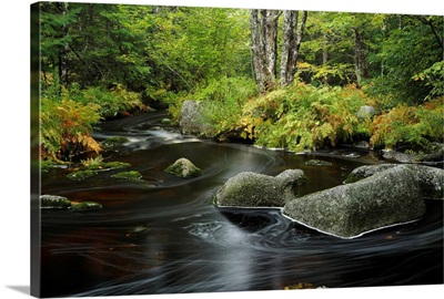 Upper Bear River in early autumn, Nova Scotia, Canada