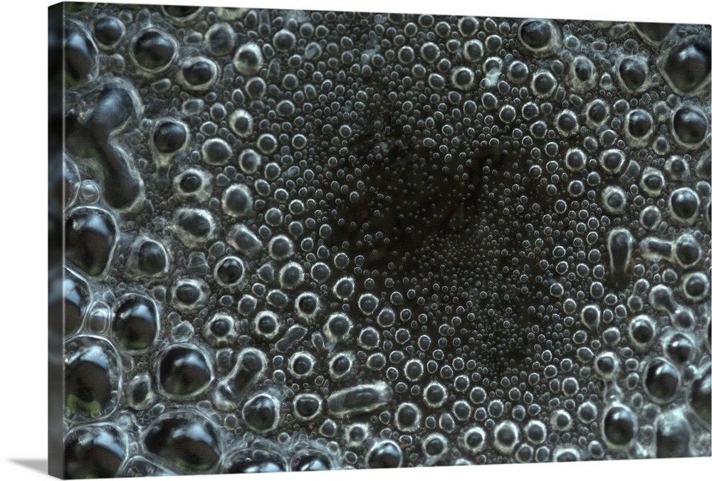 Bubbles of water boiling in pan
