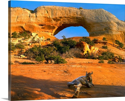 Wilson Arch, off of highway 191, made of entrada sandstone, Utah