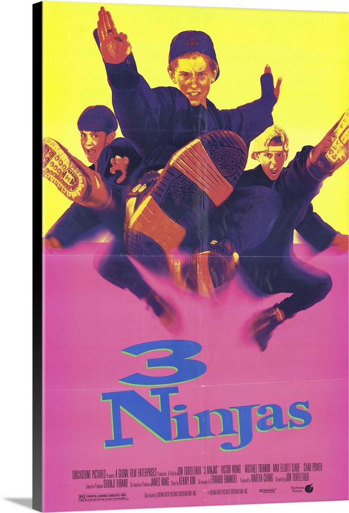 Lively kid's actioner about three brothers who are trained as ninjas by their grandpa. When a group of bad guys tries to k...