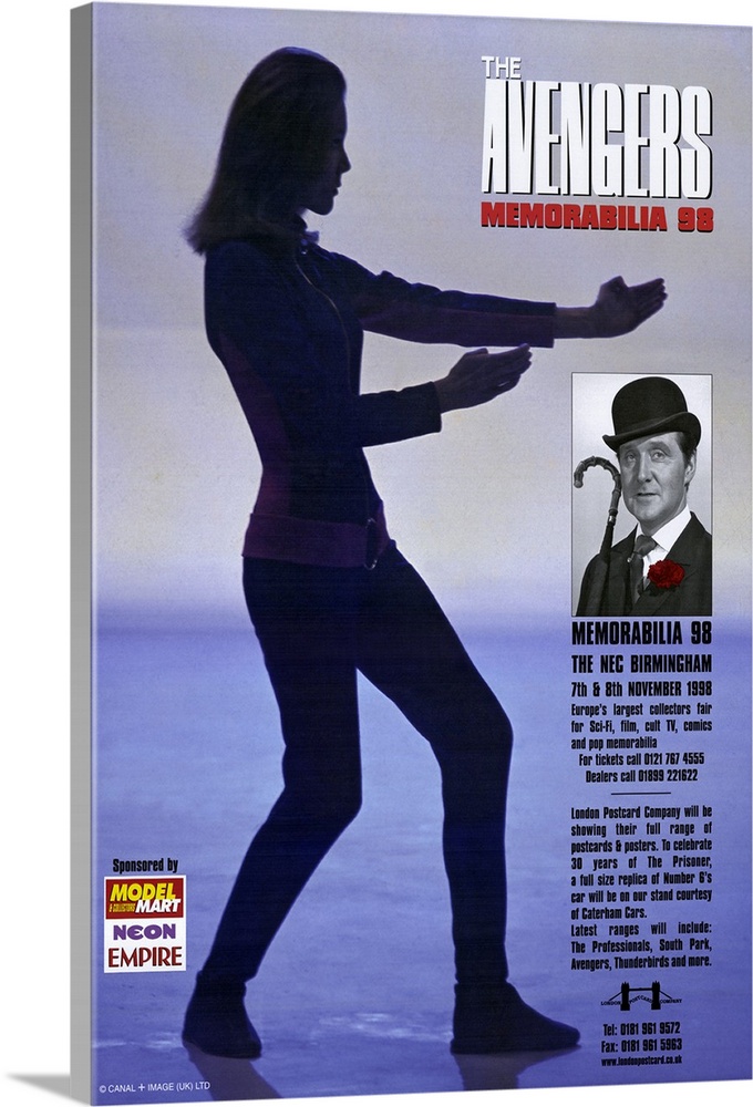 A poster of the 60s era British spy themed television show with a silhouette of one of Steedos assistances posed for action.