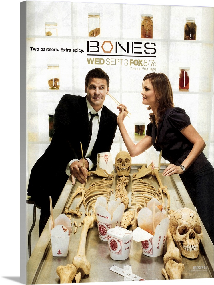 A prosaic forensic anthropologist and a cocky FBI agent build a team to investigate death causes. And quite often, there i...