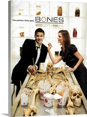 Bones (TV) (2005)