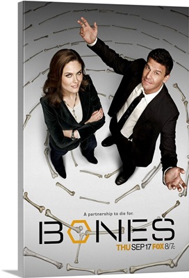Bones (TV) (2005)