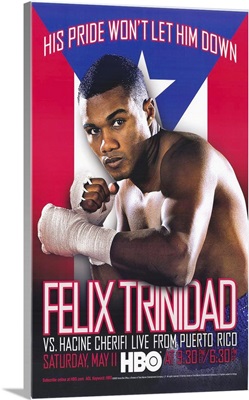Felix Trinidad vs Hacine Cherifi (2002)