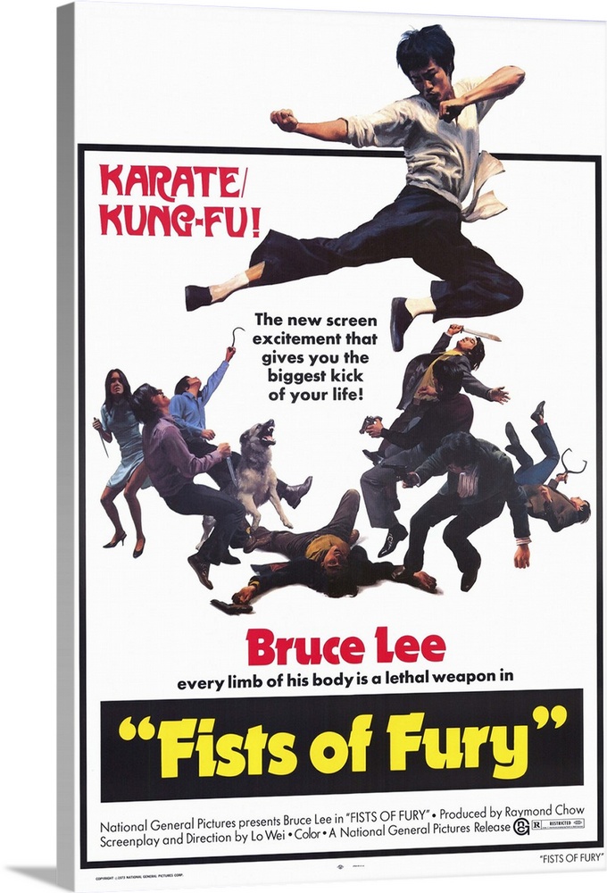 Bruce Lee stars in this violent but charming Kung Fu action adventure in which he must break a solemn vow to avoid fightin...