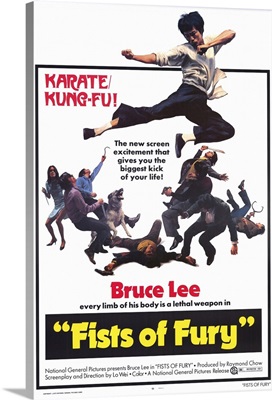 Fists of Fury (1973)