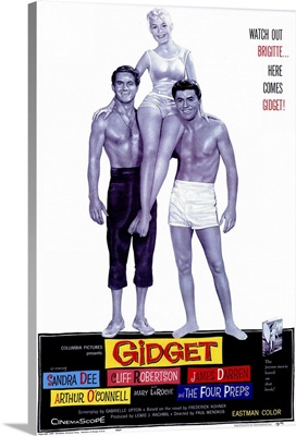 Gidget (1959)