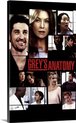 Greys Anatomy (2005)