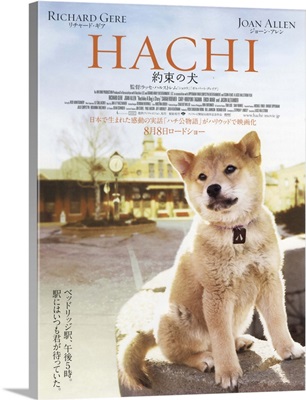 Hachiko: A Dogs Story (2009)