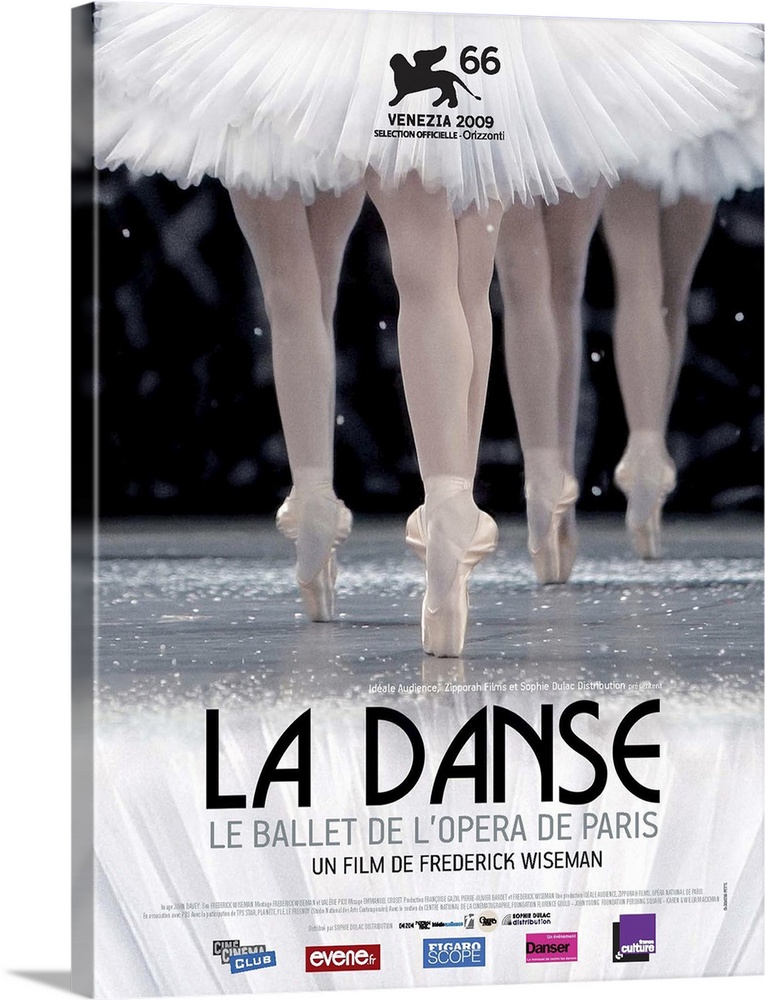 The film follows the production of seven ballets by the Paris Opera Ballet.