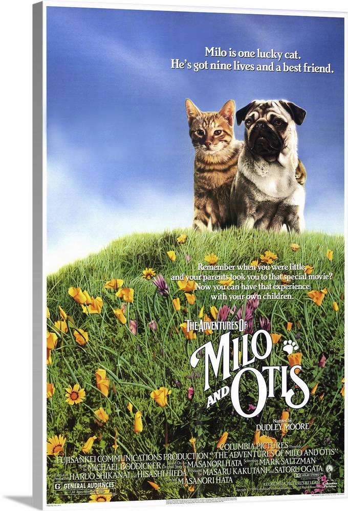 Charming tale of a kitten named Milo and his best friend, a puppy named Otis. The two live on a farm and, when exploring t...