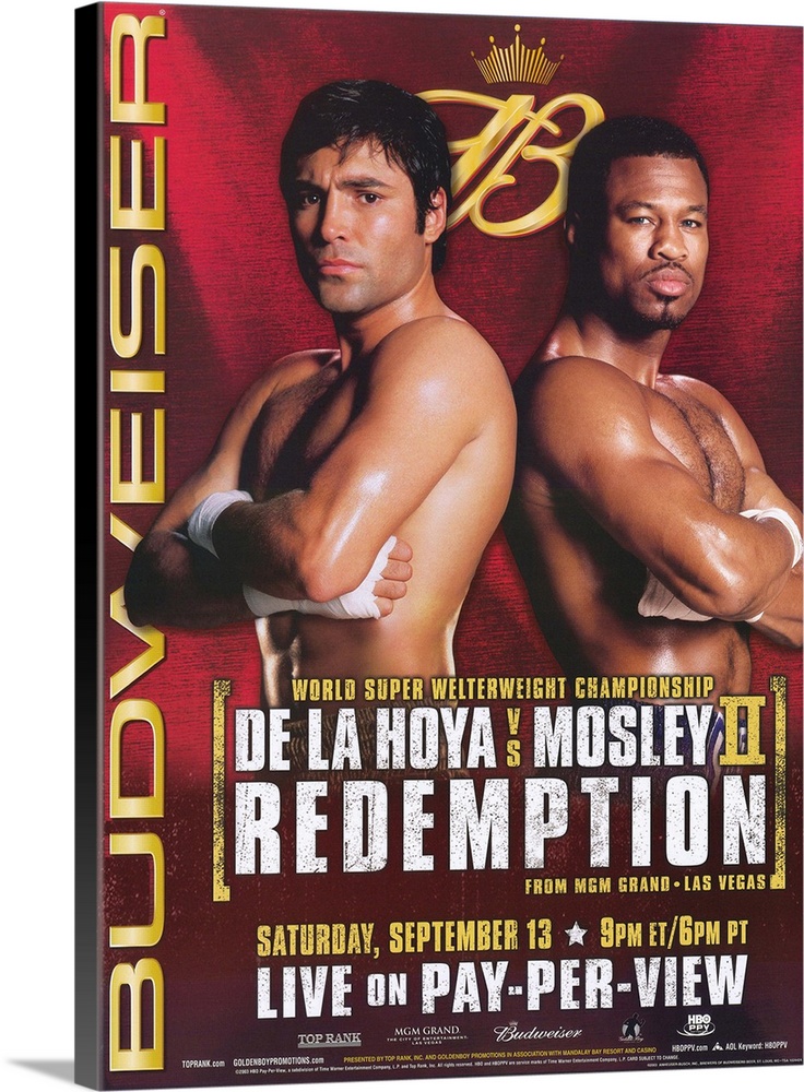Oscar De La Hoya vs Shane Mosley (2003)