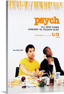 Psych (TV) (2006)