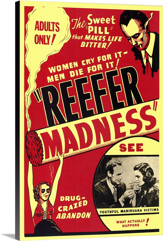 Considered serious at the time of its release, this low-budget depiction of the horrors of marijuana has become an undergr...
